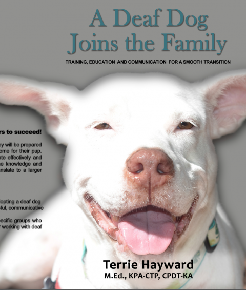 Deaf-Dog-Training