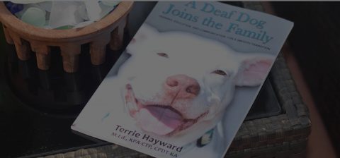 A Deaf Dog Joins the Family