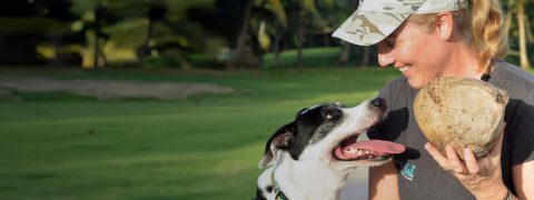 Terrie Hayward Dog Trainer