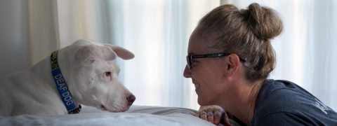 Terrie Hayward Expert Dog Trainer