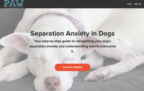 canine separation anxiety course