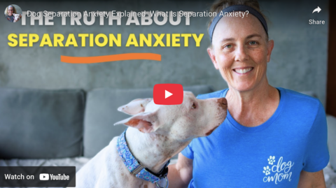 Dog separation anxiety expert Terrie Hayward